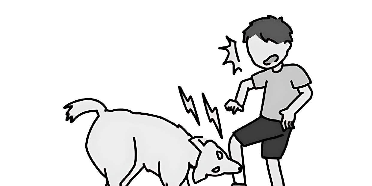 Tájékoztató kutyatámadás esetén szükséges teendőkről