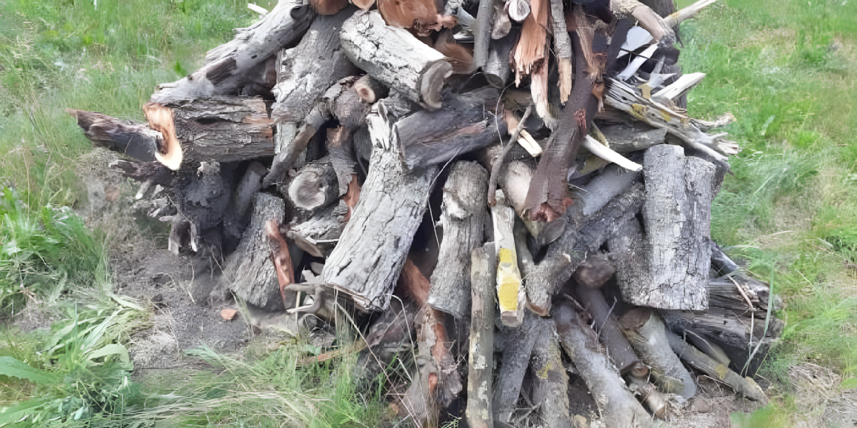Felhívás ingyenesen elvihető tűzifával kapcsolatban